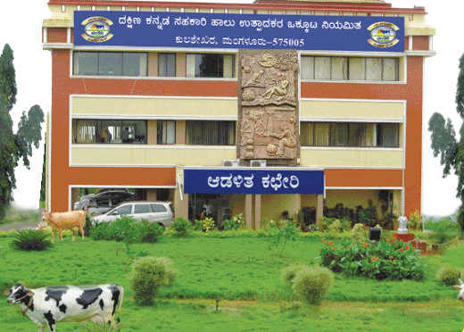 dk milk union bags award